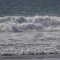 Meeresbilder dynamik.GIF